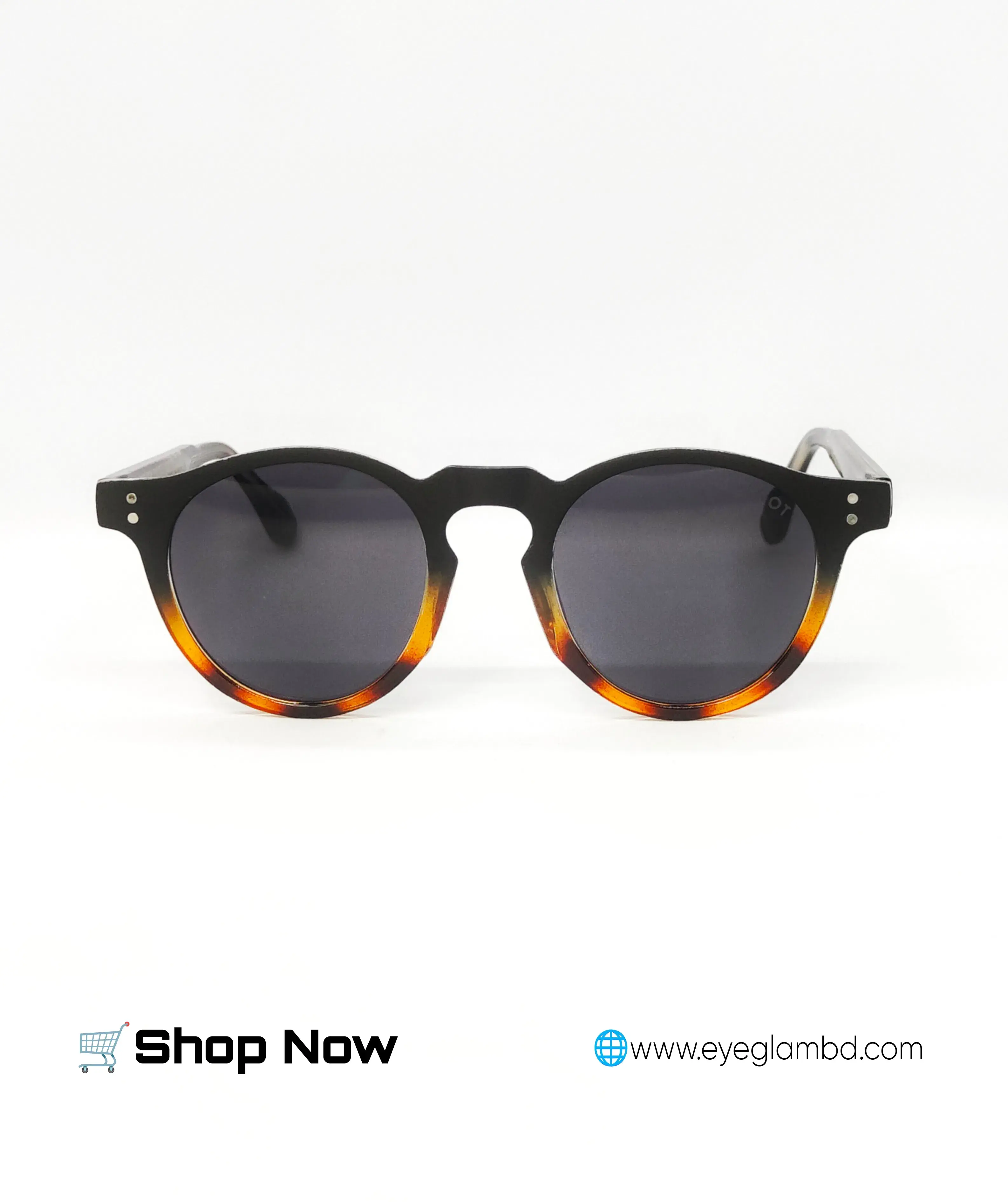  MILTZEN Moscot Sunglass  5