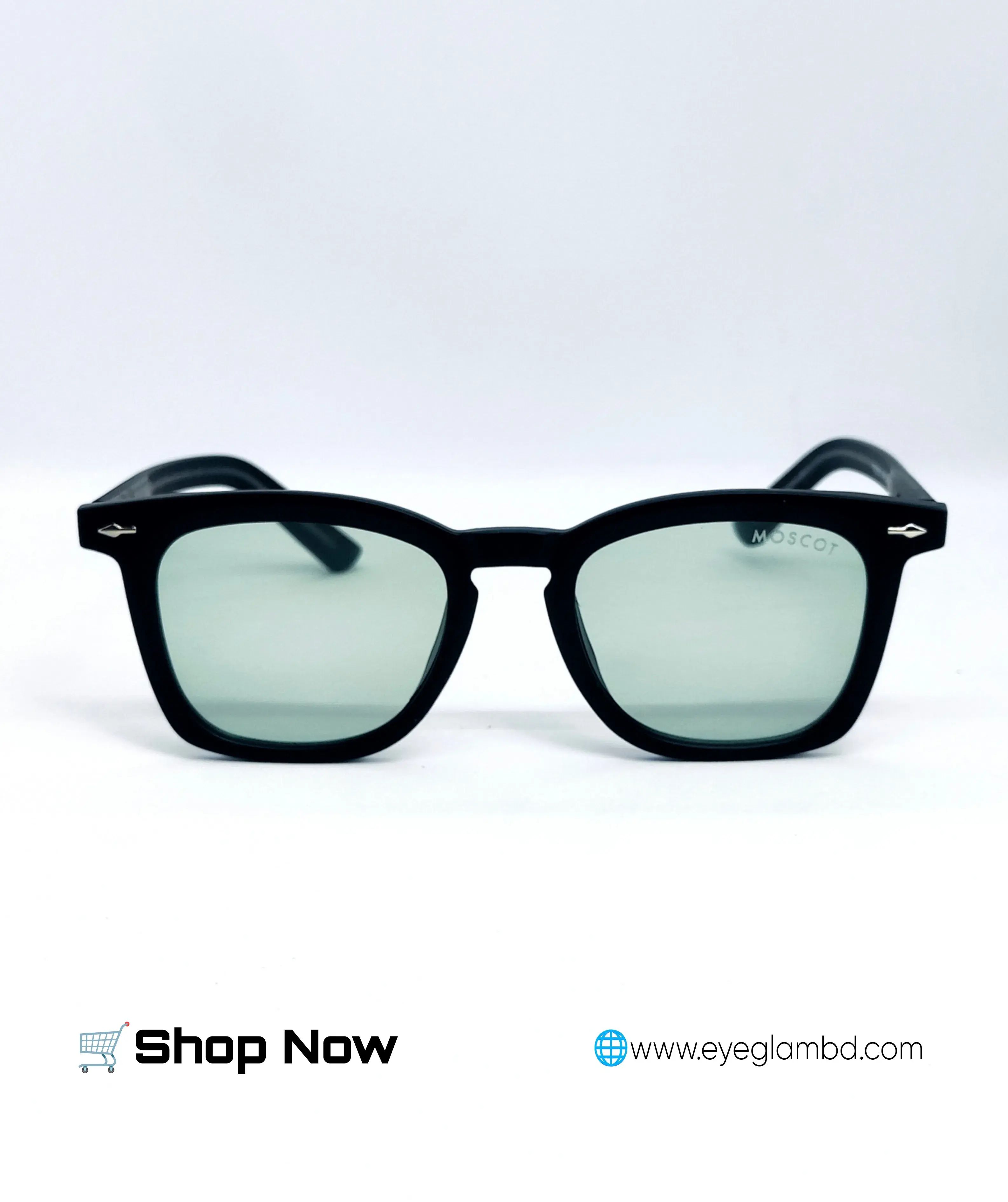 Moscot Shall sunglass Michel 2